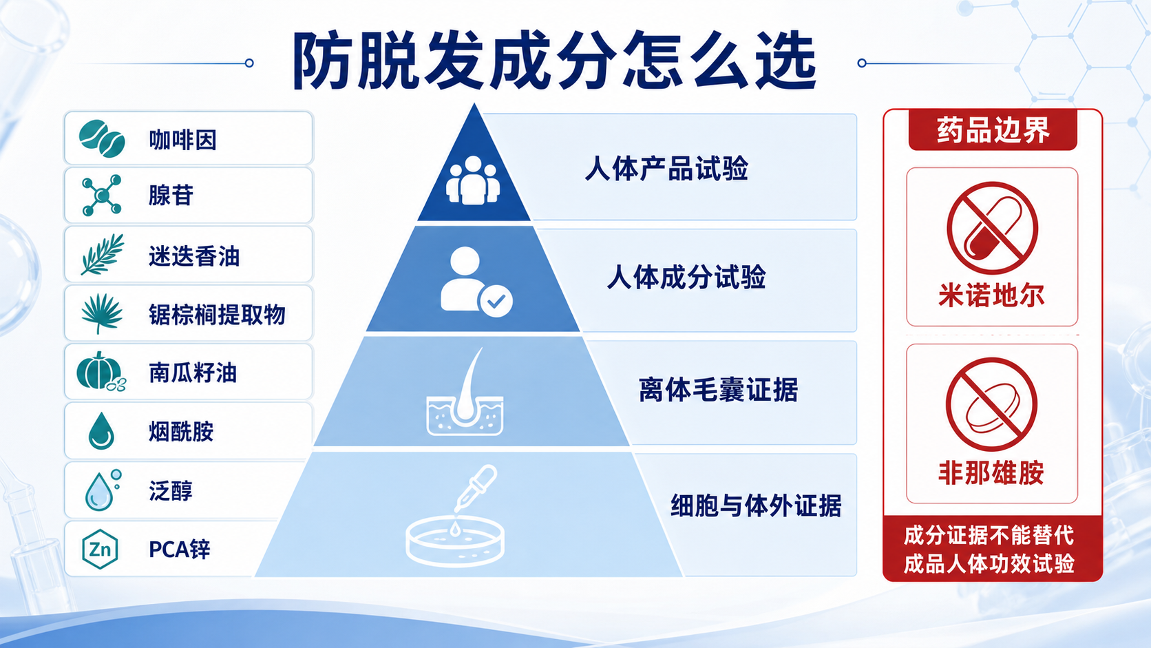 防脱发成分按人体产品试验、人体成分试验、离体毛囊和体外证据分级示意图